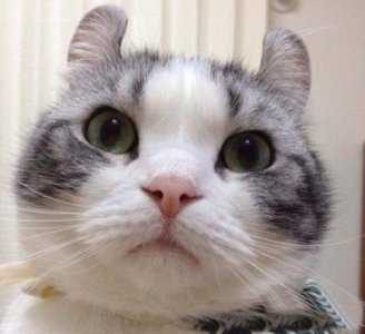 ​有关亲情陪伴的温暖句子 有关温暖的句子简短