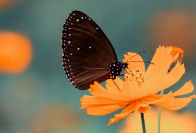 ​好听的微信名字大全(1388个)