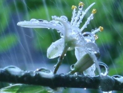 ​百年孤独经典语录