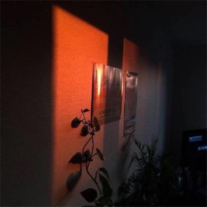 宫崎骏经典语录