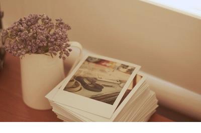 文艺风赏经典语录