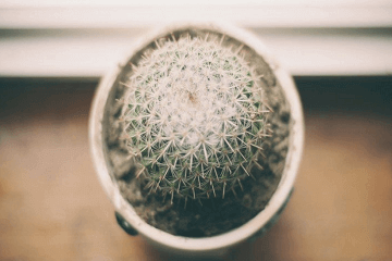 平安吉祥有福气的微信名字