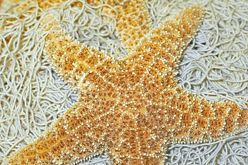 平安吉祥有福气的微信名字