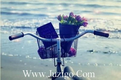 ​祝弟弟生日快乐的幽默句子(精选29句)