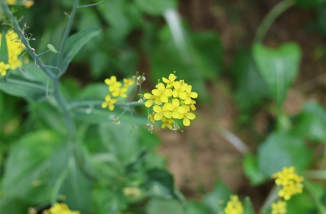 2023年最火爆的网名