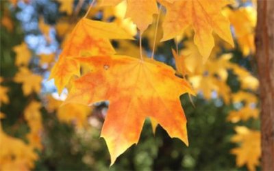 ​看透男人的经典句子