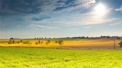 ​辞旧迎新的唯美的句子（好听的句子唯美短句）