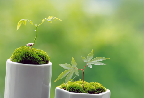 1683093224205003.png image.png