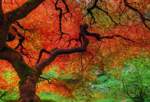 1689258721101081.png image.png