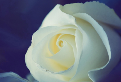 ​微信网名伤痛伤感300个