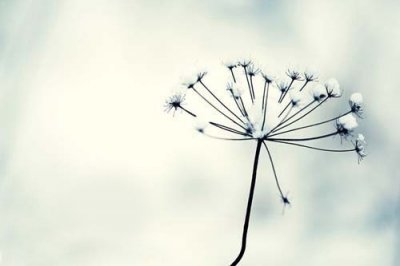 ​鼓励孩子加油的暖心话激励人奋斗的经典句子(74句)