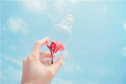 赞美书的句子 赞美书法的经典句子(精选70句)