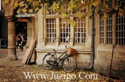 ​2023年赞美小草生命力的句子(63句)