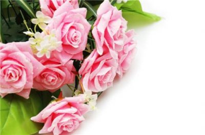 ​拼多多评论好评句子(唯美温柔)