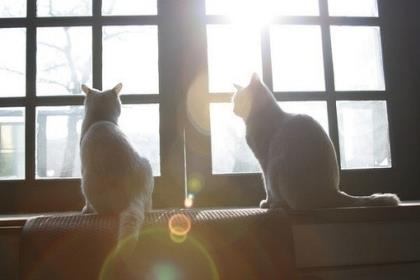 正能量的句子经典短句