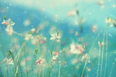 ​经典一句话说说79句