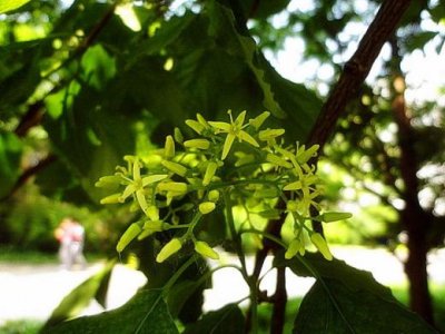 ​论语中关于君子的句子全部[25条] (论语关于治学的句子)