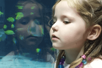 王者荣耀好听女生名字