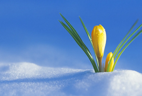 1683968424140167.png image.png