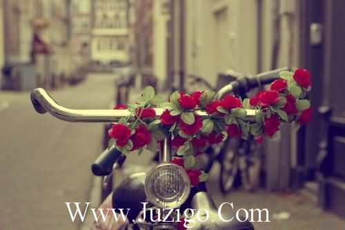 人生感悟的哲理说说 人生感悟经典哲理短语(精选45句)