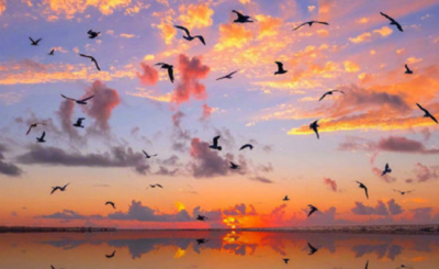 ​一看就很温柔的网名 温柔甜美微信网名