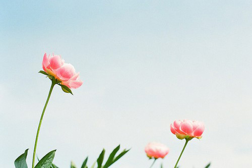 雨水节短信98句