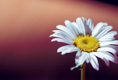 ​关于谎言的经典说说大全精选 关于谎言的说说(精选70句)