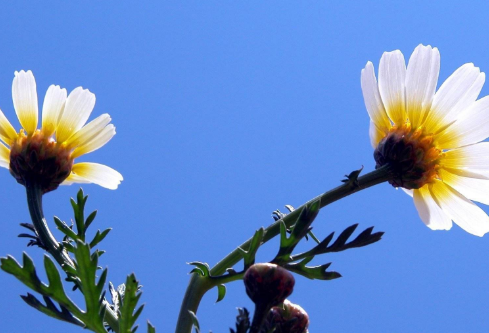 1686011055105720.png image.png