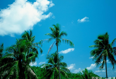 1686000373129934.png image.png