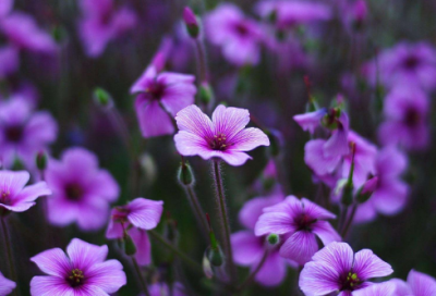 ​经典简短晚安心语 简单晚安致自己(精选75句)