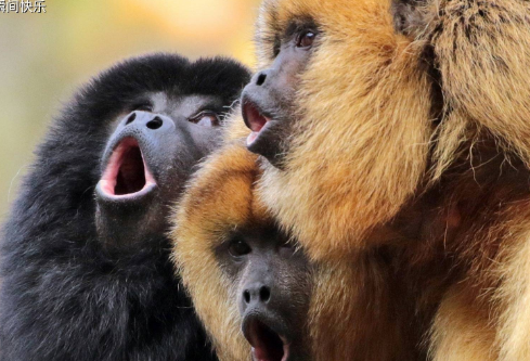 1686039179944117.png image.png