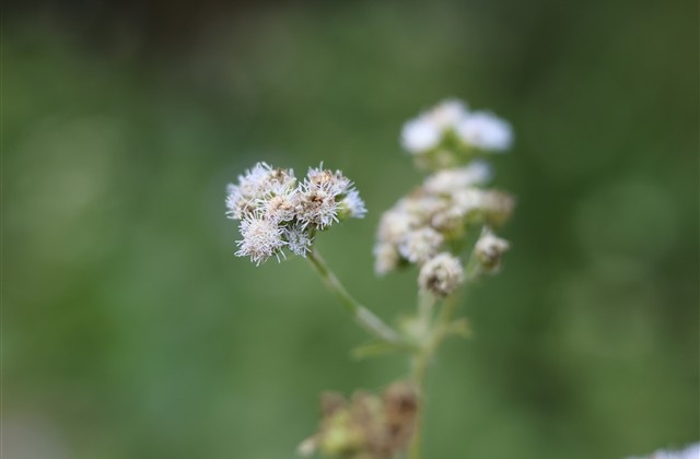 周末愉快一句话的句子 周末愉快一句话的句子