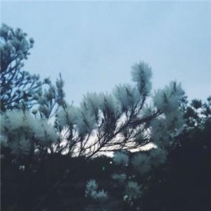 ​对未来的憧憬唯美句子（关于憧憬未来的句子）