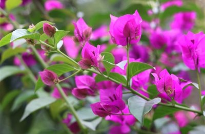 ​深奥的情话短句