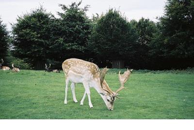 对领导的感谢短信大全