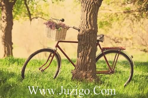 艾薇儿经典语录35句