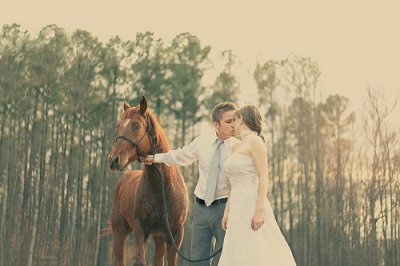 ​日志80后情感语录92句