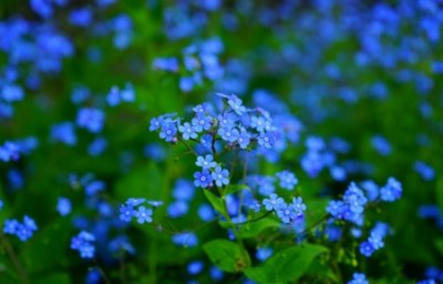 ​小吃店名字大全精选96个