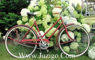 ​真正爱你的语录