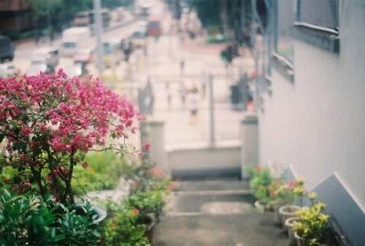 ​唯美爱情句子大全 关于爱情的唯美句子短句