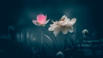 ​描写清晨的优美句子 描写清晨阳光的句子