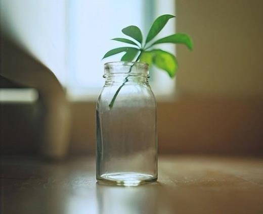 阳光简短励志唯美句子