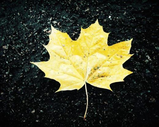 2023qq唯美伤感头像