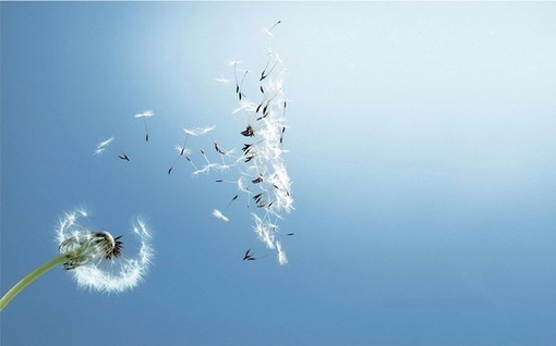 1月14日情人节短信98句