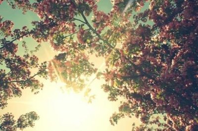 ​每日晨语致自己：你会为自己赢得更多进步的机遇…