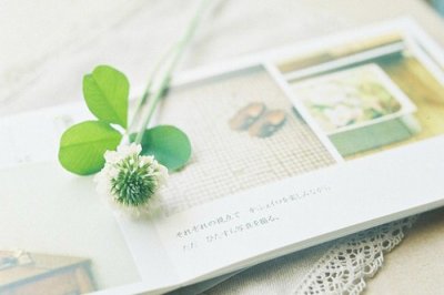 ​关于爱心的好词好句