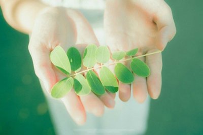 ​描写旅行的英文句子