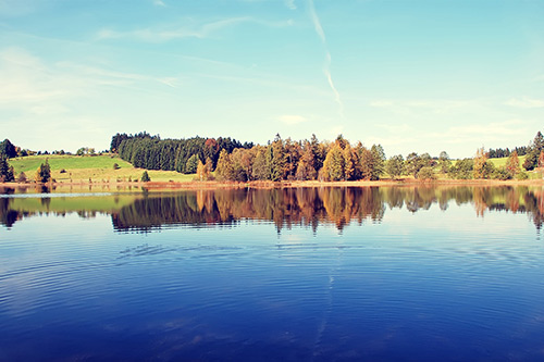 描述女人美丽的句子77句