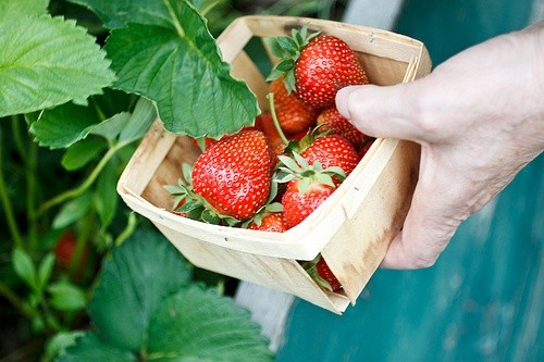 深奥难懂的句子简短的(80句)