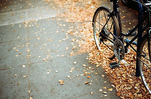 关于恋爱中的句子93句